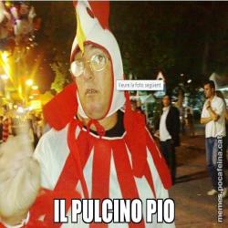 IL PULCINO PIO