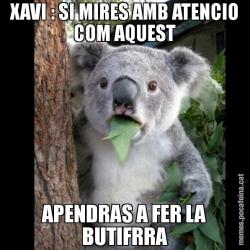 XAVI : SI MIRES AMB ATENCIO COM AQUEST APENDRAS A FER LA BUTIFRRA