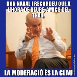 BON NADAL I RECORDEU QUE A L'HORA DE BEURE, AMICS DEL THAU, LA MODERACIÓ ÉS LA CLAU