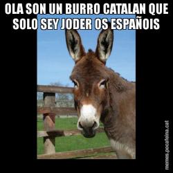 OLA SON UN BURRO CATALAN QUE SOLO SEY JODER OS ESPAÑOIS