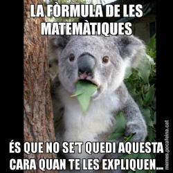 LA FÒRMULA DE LES MATEMÀTIQUES ÉS QUE NO SE'T QUEDI AQUESTA CARA QUAN TE LES EXPLIQUEN...