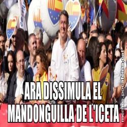 ARA DISSIMULA EL MANDONGUILLA DE L'ICETA