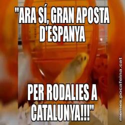 "ARA SÍ, GRAN APOSTA D'ESPANYA PER RODALIES A CATALUNYA!!!"