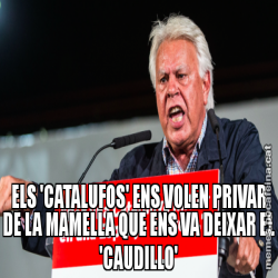 ELS 'CATALUFOS' ENS VOLEN PRIVAR DE LA MAMELLA QUE ENS VA DEIXAR EL 'CAUDILLO'