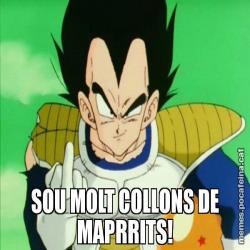 SOU MOLT COLLONS DE MAPRRITS!
