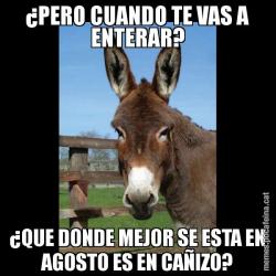 ¿PERO CUANDO TE VAS A ENTERAR? ¿QUE DONDE MEJOR SE ESTA EN AGOSTO ES EN CAÑIZO?