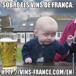 SOBRE ELS VINS DE FRANÇA: HTTP://VINS-FRANCE.COM/EN/