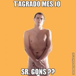 T'AGRADO MES JO  SR. GONS ??