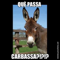 QUÈ PASSA  CARBASSA?!?!?
