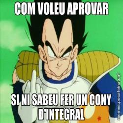 COM VOLEU APROVAR SI NI SABEU FER UN CONY D'INTEGRAL