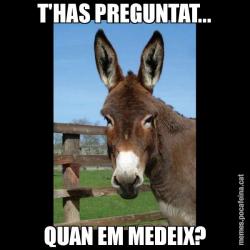 T'HAS PREGUNTAT... QUAN EM MEDEIX?