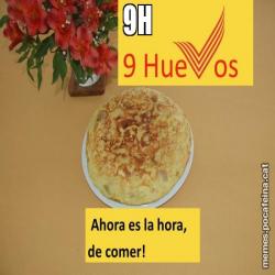 9H