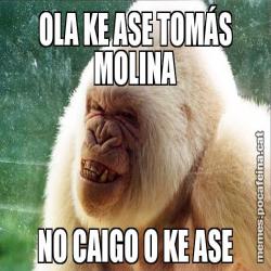 OLA KE ASE TOMÁS MOLINA NO CAIGO O KE ASE