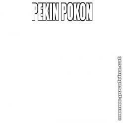 PEKIN POKON