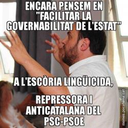 ENCARA PENSEM EN "FACILITAR LA GOVERNABILITAT DE L'ESTAT" A L'ESCÒRIA LINGÜICIDA, REPRESSORA I ANTICATALANA DEL PSC-PSOE