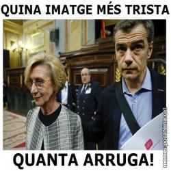 Meme q38ejp