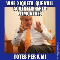 VINE, XIQUETA, QUE VULL AQUESTES PERES LLIMONERES TOTES PER A MI