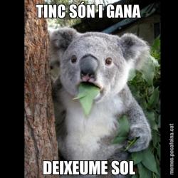 TINC SÓN I GANA DEIXEUME SOL