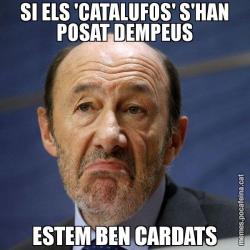 SI ELS 'CATALUFOS' S'HAN POSAT DEMPEUS ESTEM BEN CARDATS
