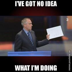 I'VE GOT NO IDEA WHAT I'M DOING
