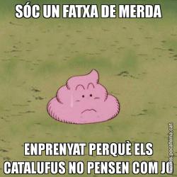 SÓC UN FATXA DE MERDA ENPRENYAT PERQUÈ ELS CATALUFUS NO PENSEN COM JO
