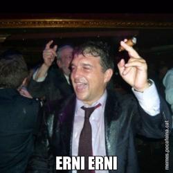 ERNI ERNI