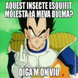 AQUEST INSECTE ESQUIFIT MOLESTA LA MEVA BULMA? DIGA’M ON VIU