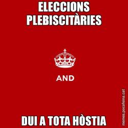 ELECCIONS PLEBISCITÀRIES DUI A TOTA HÒSTIA