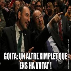 GOITA: UN ALTRE XIMPLET QUE ENS HA VOTAT !