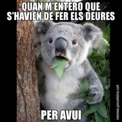 QUAN M'ENTERO QUE S'HAVIEN DE FER ELS DEURES PER AVUI
