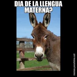 DIA DE LA LLENGUA MATERNA?