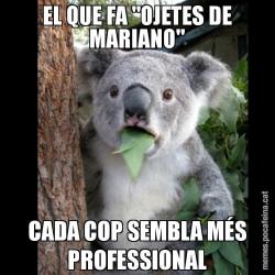 EL QUE FA "OJETES DE MARIANO" CADA COP SEMBLA MÉS PROFESSIONAL