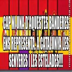 CAP NI UNA D'AQUESTES BANDERES ENS REPRESENTA. A CATALUNYA LES SENYERES I LES ESTELADES!!!