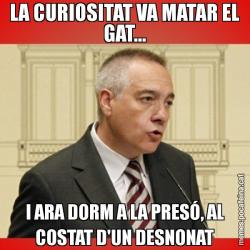 LA CURIOSITAT VA MATAR EL GAT... I ARA DORM A LA PRESÓ, AL COSTAT D'UN DESNONAT
