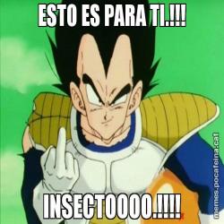 ESTO ES PARA TI.!!! INSECTOOOO.!!!!