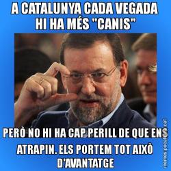 A CATALUNYA CADA VEGADA HI HA MÉS "CANIS" PERÒ NO HI HA CAP PERILL DE QUE ENS ATRAPIN. ELS PORTEM TOT AIXÒ D'AVANTATGE