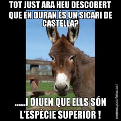 TOT JUST ARA HEU DESCOBERT QUE EN DURAN ÉS UN SICARI DE CASTELLA? ......I DIUEN QUE ELLS SÓN L'ESPÈCIE SUPERIOR !