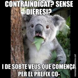 CONTRAINDICAT? SENSE DIÈRESI? I DE SOBTE VEUS QUE COMENÇA PER EL PREFIX CO-