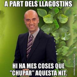 A PART DELS LLAGOSTINS HI HA MES COSES QUE "CHUPAR" AQUESTA NIT.