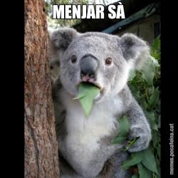 MENJAR SÀ