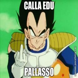 CALLA EDU PALLASSO