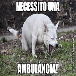 NECESSITO UNA AMBULÀNCIA!