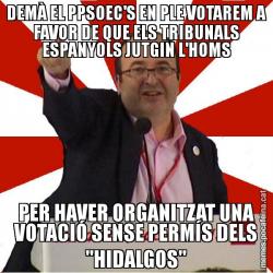 DEMÀ EL PPSOEC'S EN PLE VOTAREM A FAVOR DE QUE ELS TRIBUNALS ESPANYOLS JUTGIN L'HOMS PER HAVER ORGANITZAT UNA VOTACIÓ SENSE PERMÍS DELS "HIDALGOS"