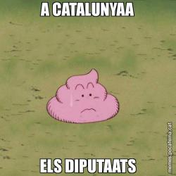 A CATALUNYAA ELS DIPUTAATS