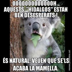 OOOOOOOOOOOOOH .. AQUESTS  "HIDALGOS" ESTAN BEN DESESPERATS ! ÉS NATURAL: VEUEN QUE SE'LS ACABA LA MAMELLA.