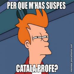 PER QUE M'HAS SUSPES  CATALA PROFE?