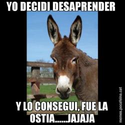 YO DECIDI DESAPRENDER  Y LO CONSEGUI, FUE LA OSTIA......JAJAJA