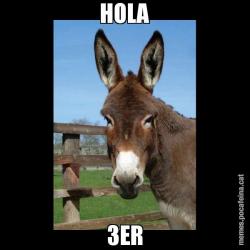 HOLA 3ER