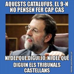 AQUESTS CATALUFUS, EL 9-N NO PENSEN FER CAP CAS NI DEL QUE DIGUI JO, NI DEL QUE DIGUIN ELS TRIBUNALS CASTELLANS