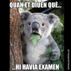 QUAN ET DIUEN QUÈ... ...HI HAVIA EXAMEN